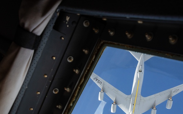 Operation Frozen Musk Ox