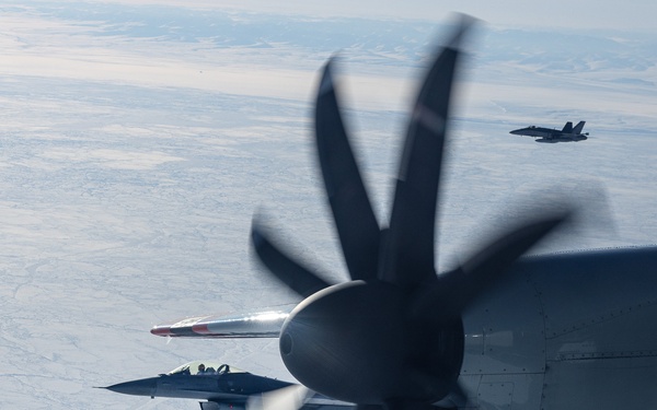 Operation Frozen Musk Ox