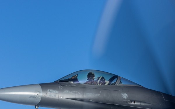 Operation Frozen Musk Ox