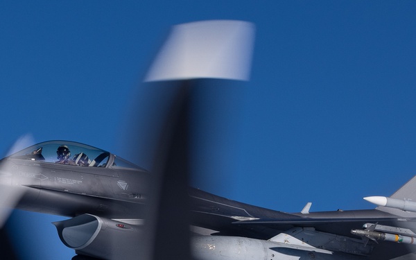 Operation Frozen Musk Ox