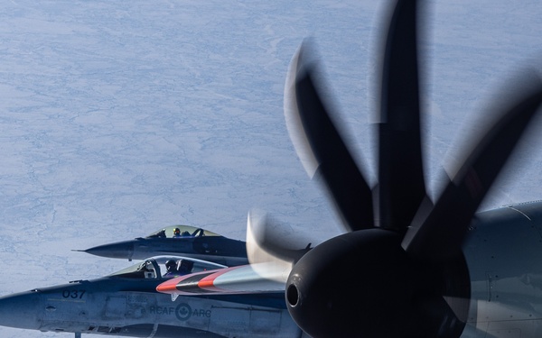 Operation Frozen Musk Ox