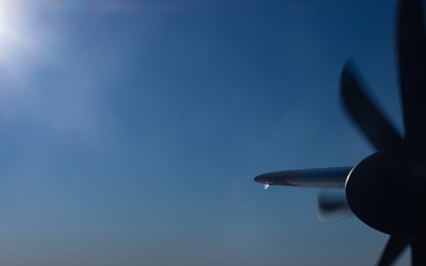 Operation Frozen Musk Ox