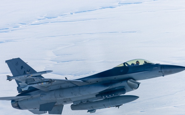 Operation Frozen Musk Ox