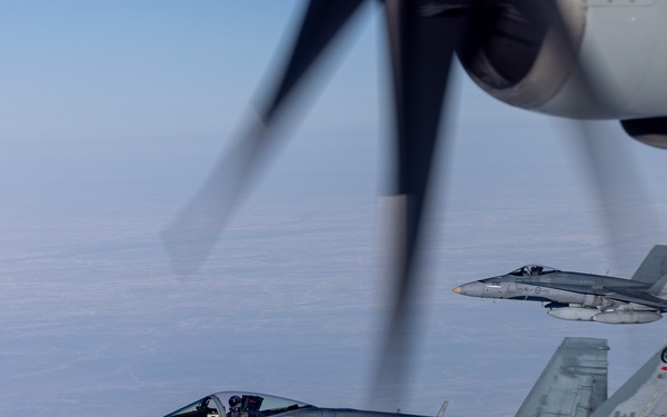 Operation Frozen Musk Ox