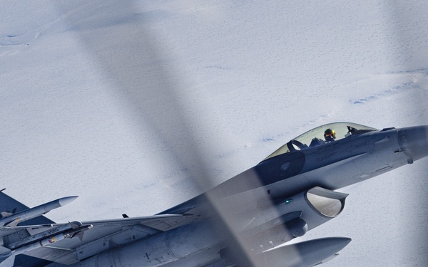 Operation Frozen Musk Ox