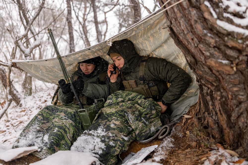 U.S. and Republic of Korea Reconnaissance Marines Bilateral Surveillance and Patrolling Training During KMEP 25.1