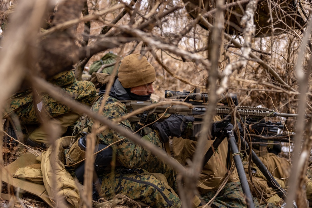 U.S. and Republic of Korea Reconnaissance Marines Bilateral Surveillance and Patrolling Training During KMEP 25.1