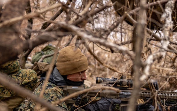 U.S. and Republic of Korea Reconnaissance Marines Bilateral Surveillance and Patrolling Training During KMEP 25.1