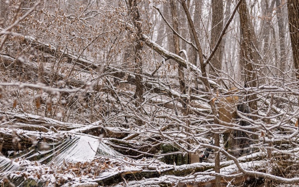 U.S. and Republic of Korea Reconnaissance Marines Bilateral Surveillance and Patrolling Training During KMEP 25.1