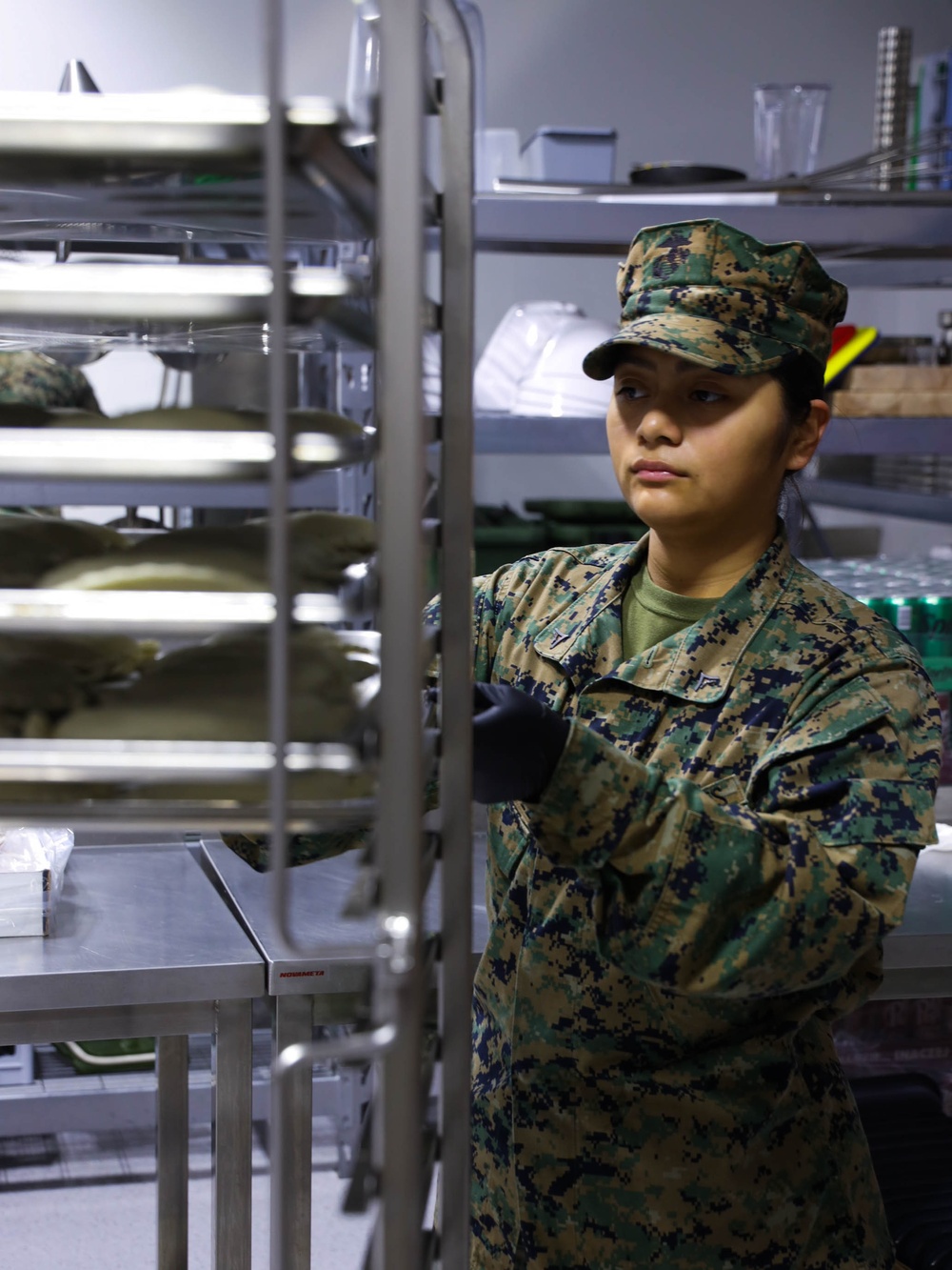 Lance Cpl. Alondra RuizHernandez; 2nd MLG warrior of the week