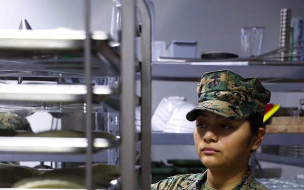 Lance Cpl. Alondra RuizHernandez; 2nd MLG warrior of the week