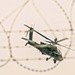 101st CAB NLOS