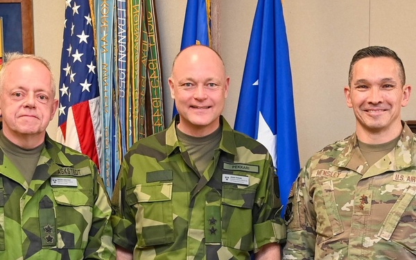 Sweden Cyber Command and Air Forces Cyber align cyber compatibility