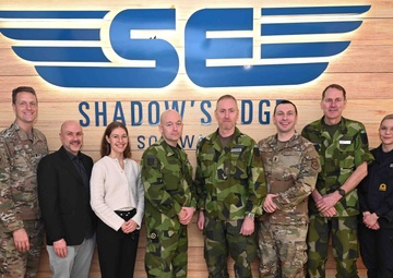 Sweden Cyber Command and Air Forces Cyber align cyber compatibility