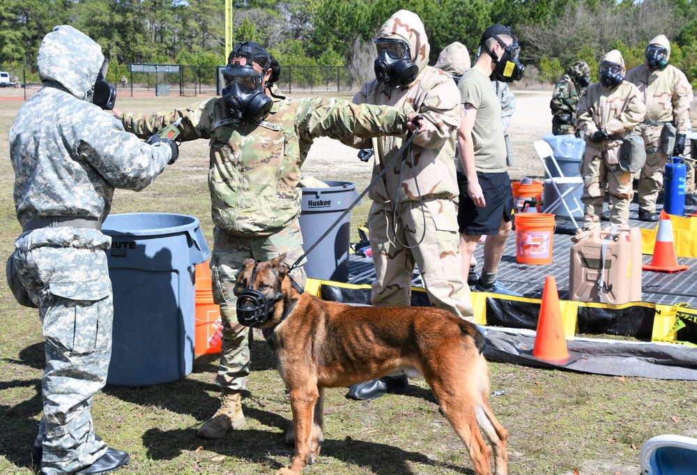 Fort Bragg Welcomes Dog Days of Spring