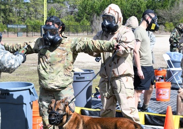Paw and Order: The Elite Training of our Vets Caring for Military Working Dogs