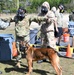 Fort Bragg Welcomes Dog Days of Spring