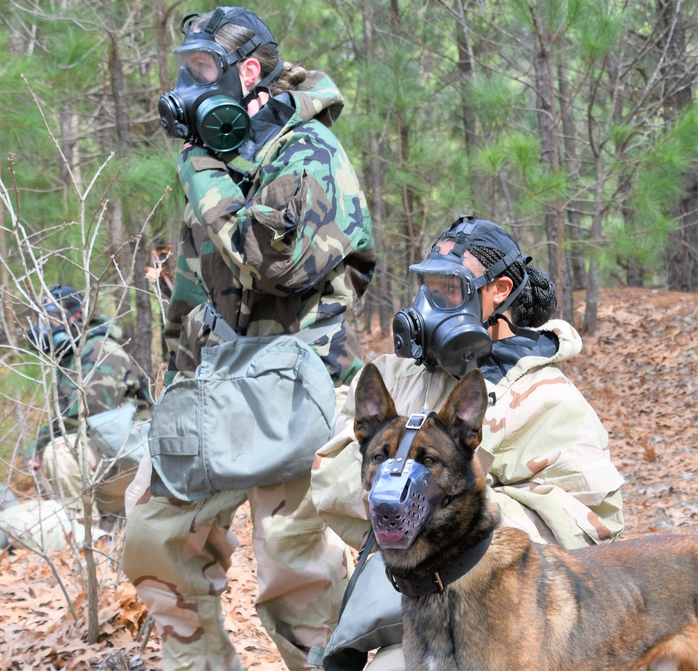 Fort Bragg Welcomes Dog Days of Spring