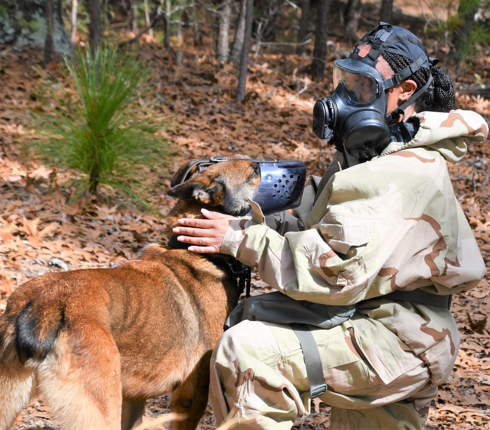 Fort Bragg Welcomes Dog Days of Spring