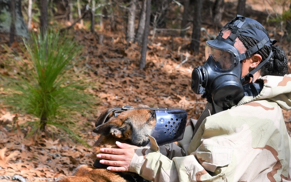 Fort Bragg Welcomes Dog Days of Spring