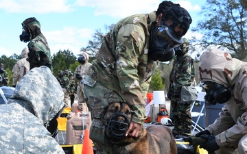 Fort Bragg Welcomes Dog Days of Spring