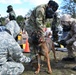 Fort Bragg Welcomes Dog Days of Spring