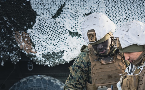 Exercise Joint Viking 25: Fire Mission Observation