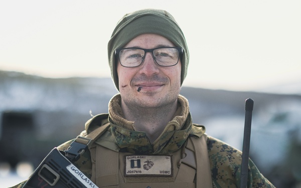 Exercise Joint Viking 25: Fire Mission Observation