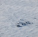 Husky Camp on Parsons Lake