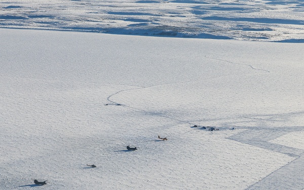 Husky Camp on Parsons Lake