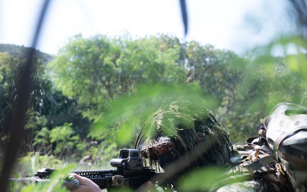 Cobra Gold 25 | Thailand, U.S Naval Special Warfare Over-The-Beach Training