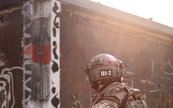 Allied Spirit '25 - Day 3