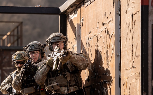 Allied Spirit '25 - Day 3