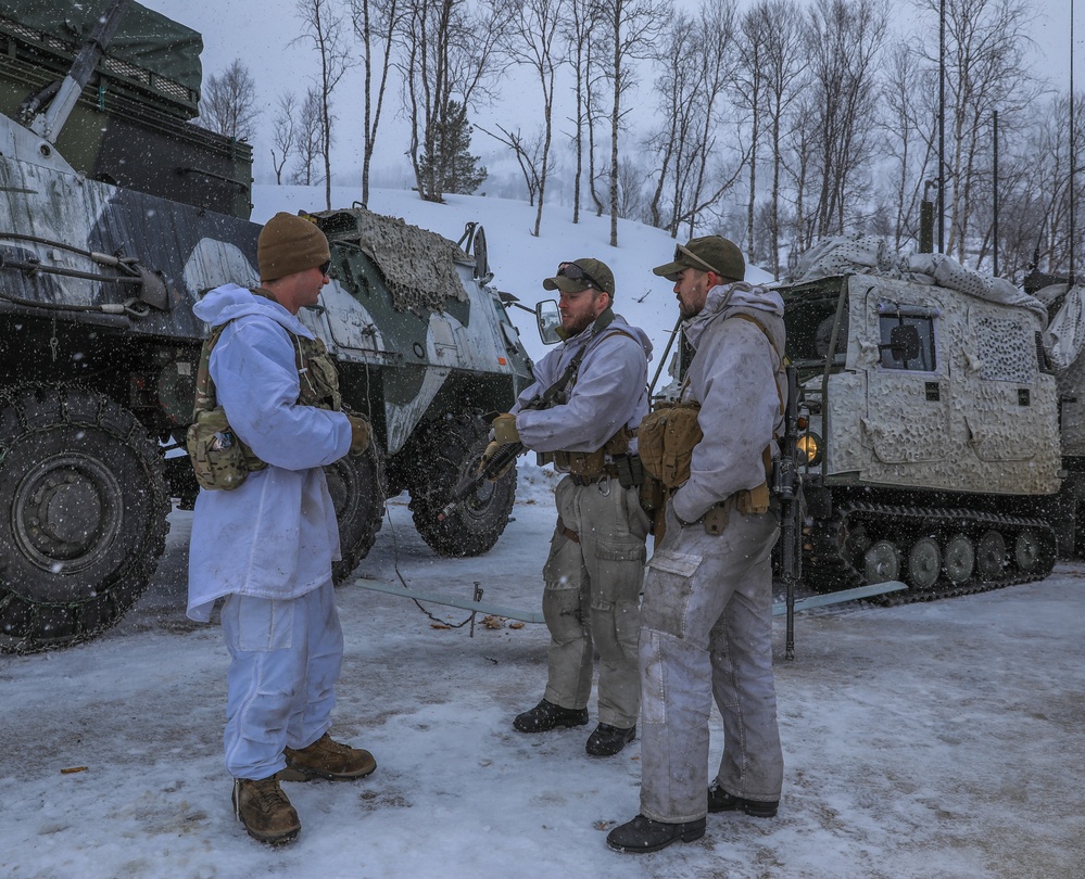 U.S. Army MLRS battalion, Allied militaries conduct static display for external media during exercise in Norway