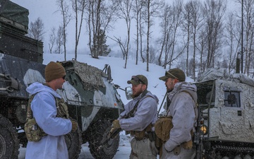 U.S. Army MLRS battalion, Allied militaries conduct static display for external media during exercise in Norway