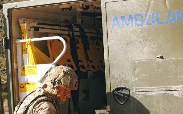 Allied Spirit '25 - Day 5