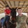 502nd Equestrian Center Supports Local Community
