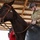 502nd Equestrian Center Supports Local Community
