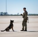 MacDill AFB enhances operational readiness during a NORE