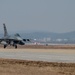 36th FS take-off for ACE exercise