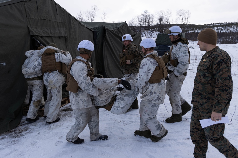 Exercise Joint Viking 25: Medical Evacuation Drill