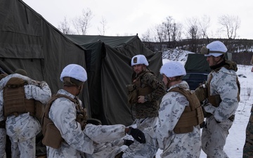 Exercise Joint Viking 25: Medical Evacuation Drill