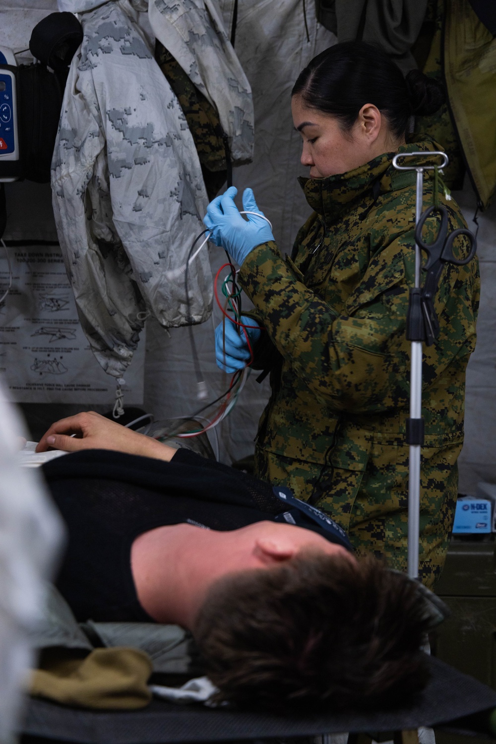 Exercise Joint Viking 25: Medical Evacuation Drill