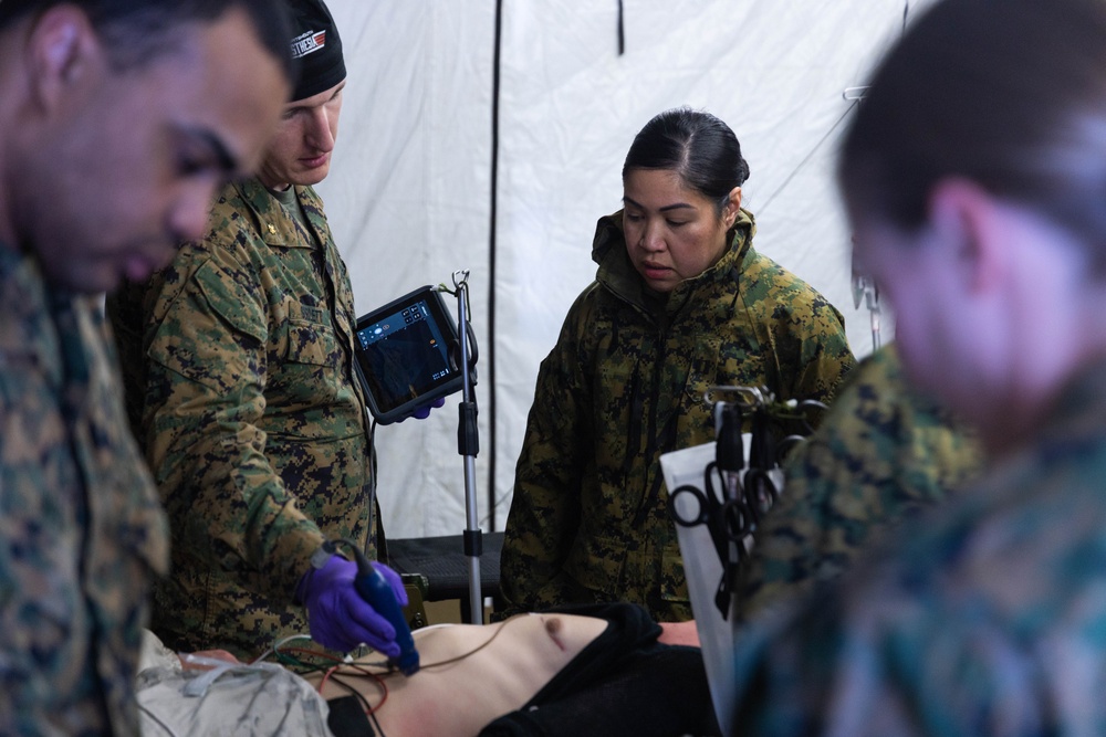 Exercise Joint Viking 25: Medical Evacuation Drill