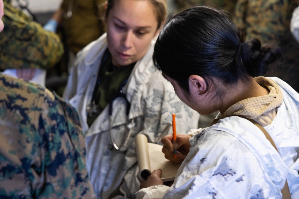 Exercise Joint Viking 25: Medical Evacuation Drill