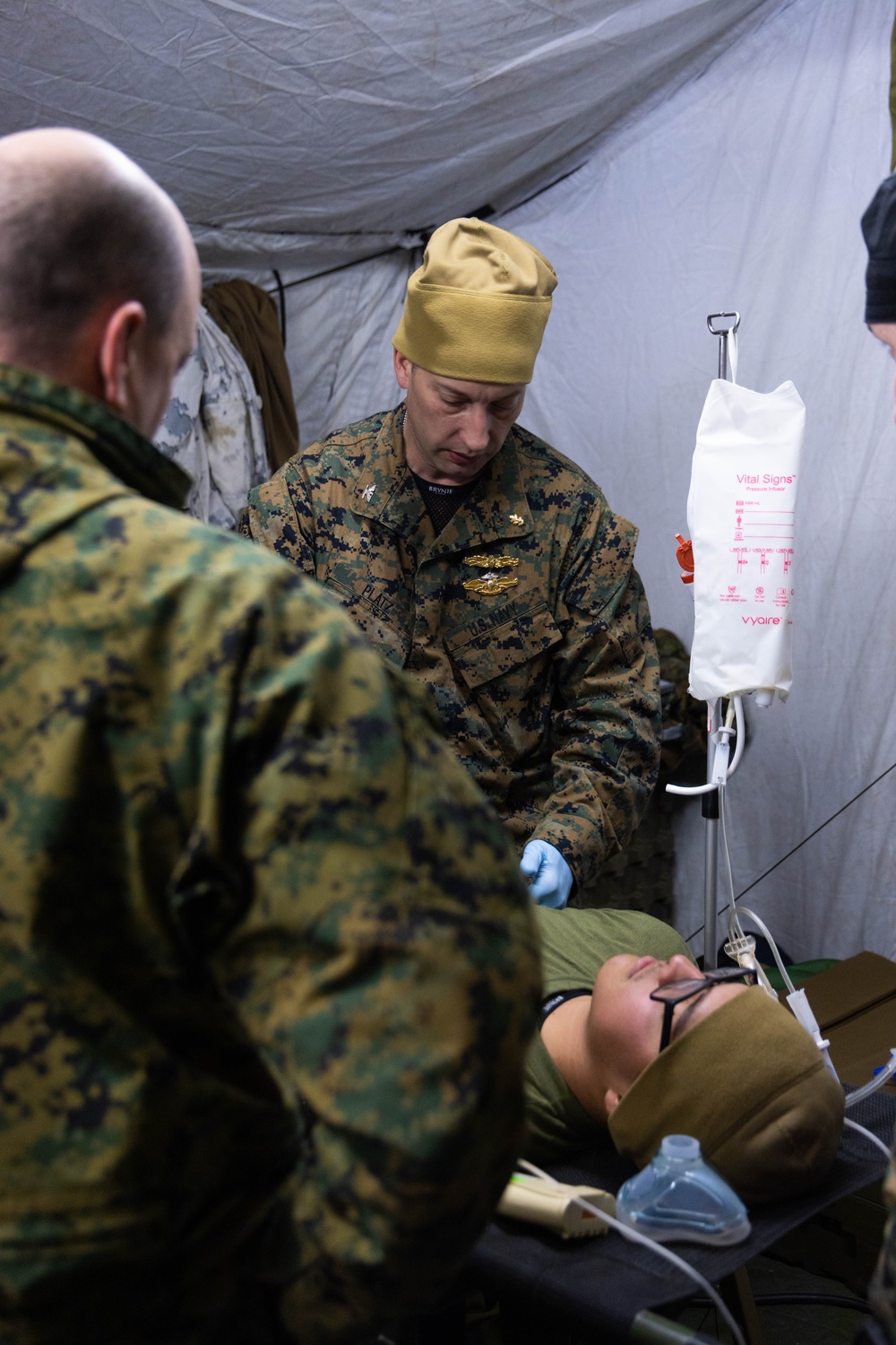 Exercise Joint Viking 25: Medical Evacuation Drill