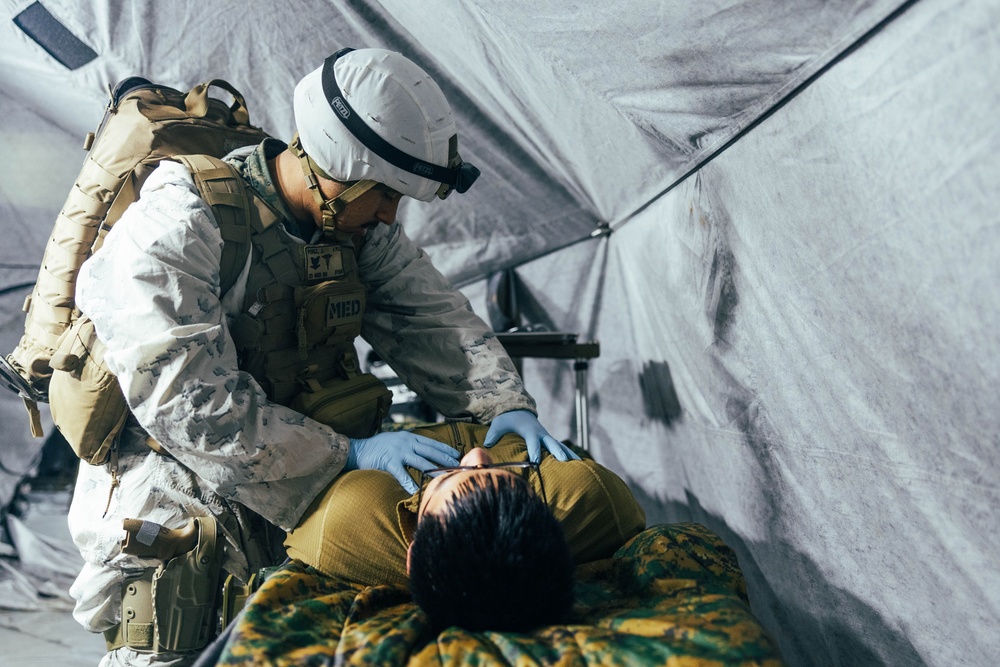 Exercise Joint Viking 25: Medical Evacuation Drill