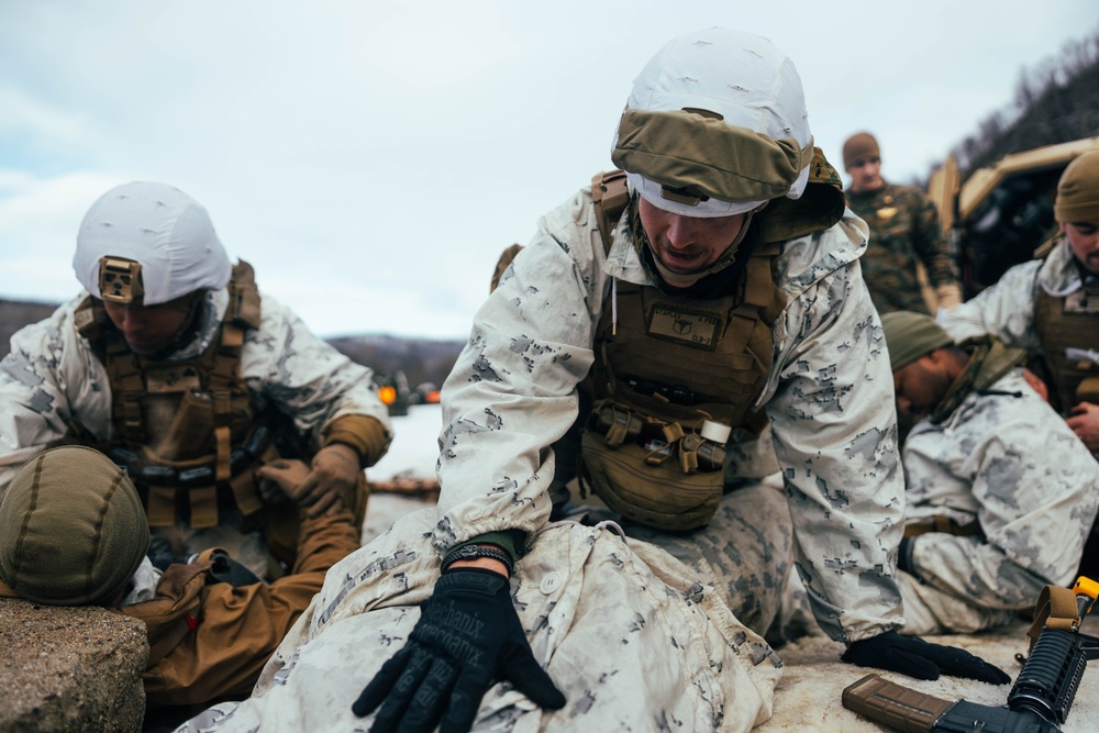 Exercise Joint Viking 25: Medical Evacuation Drill