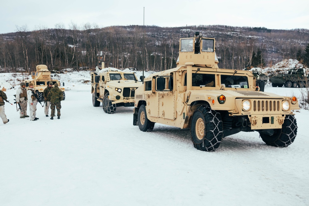 Exercise Joint Viking 25: Medical Evacuation Drill