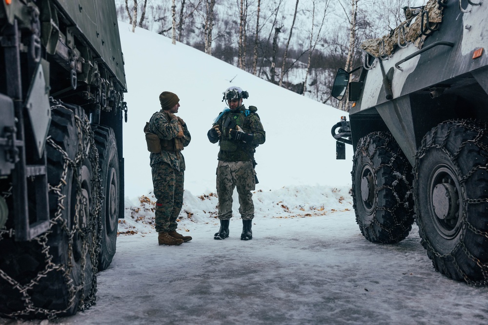 Exercise Joint Viking 25: Battle Handover